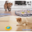 Interactive Automatic Cat Ball Toy for Indoor Cats, Quiet Rolling Motion and Bird Chirping Sounds 2