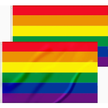 2 Pack Rainbow Pride Flags, 90 x 150 cm, Bright Colours with Brass Eyelets for Indoor and Outdoor Use