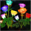 Solar Rose Garden Lights, 7 Changing Colours, Outdoor Pathway Decor with Upgraded Solar Panel 1