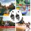 Adaptador de válvula SUP para compressor e bomba elétrica, compatível com pranchas de stand up paddle, caiaques e barcos infláveis. 1