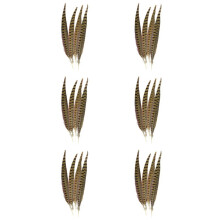 Plumes de Faisan à Collier Touch Of Nature, 24 Pièces, Naturelles