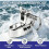 2 Pcs Boat Bimini Top Deck Hinge Swivel Mount Deck Hinge with Removable Pin, Swivel Side Mount, Bimini Top Hardware 8