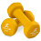 ProsourceFit Neoprene Dumbbell Coated for Non-Slip Grip, 2 lb 2