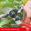 Felco Felco FEL6 Model 6 Compact Secateurs, Red 8