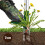 Armo Handheld Weed Puller Long Handle Garden Weeding Tool With 3 Claws Weed Root Puller Grabber 100CM, Black And Green 4