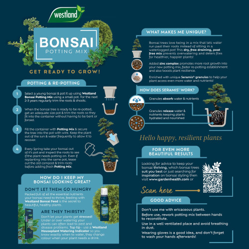 Westland Bonsai Potting Mix 4L 2