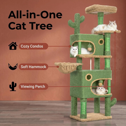 Arbre à chat Cactus, 165 cm, 7 étages, 2 grottes, 2 plateformes, vert et marron