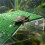 Lawn Turtle Basking Platform Turtle Resting Basking Platform, Simulation Grass Turtle Ramp for Turtle Tank, Reptile L 3