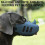 (sky blue, M) AggressiveDogs Public SiliconeMuzzleGuard XLSkyBlue SecureTrainingCover AdjStrap StopBiting 5