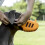 (sky blue, L) AggressiveDogs Public SiliconeMuzzleGuard XLSkyBlue SecureTrainingCover AdjStrap StopBiting 2