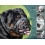 (Black, SIZE 6) Dog Basket Muzzle Adjustable SML - Stops Chewing Barking Biting Panting-hy 5