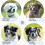 (Blue, S) Comfortable Dog Muzzle with Soft Neoprene Padding - Safe Anti-Bite Secure Fit Training Use 2
