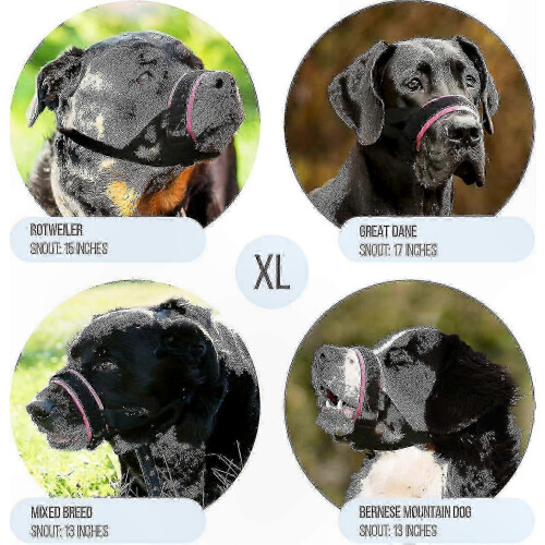 (Grey, XL) Comfortable Dog Muzzle with Soft Neoprene Padding - Safe Anti-Bite Secure Fit Training Use 1