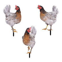 Décoration de jardin/terrasse en acrylique avec des poules sculptées, en forme de poule.