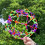 Rainbow Shrinking Expandable Breathing Ball Hand Catch Colored Magic Flower Ball Toy 5