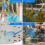 Swimming Pool Spa Landing Net Retractable Pole Robust Frame Skimmer Basin Carp Net 5