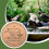 Premium Copper Birdbath Disc with Support Base and Cleaning Insert Fits Most Bird Baths 2