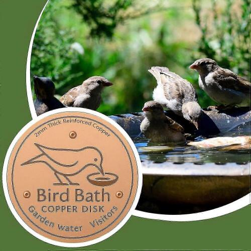 Premium Copper Birdbath Disc with Support Base and Cleaning Insert Fits Most Bird Baths 1