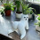 Big Booty Ghost Pouting Butt Planter Resin Air Plant Holder Tabletop Decor Gag Gift 3