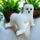 Big Booty Ghost Pouting Butt Planter Resin Air Plant Holder Tabletop Decor Gag Gift 5