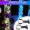 4pcs Adjustable Wall Bracket for 11cm Diameter Fish Bubble Lamps Secure and Stylish Aquarium Light Holder 3