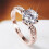 (NO.7)Ring Roségold Zirkon plattiert geometrisch neutral Mode Accessoire Geschenk Paar 7