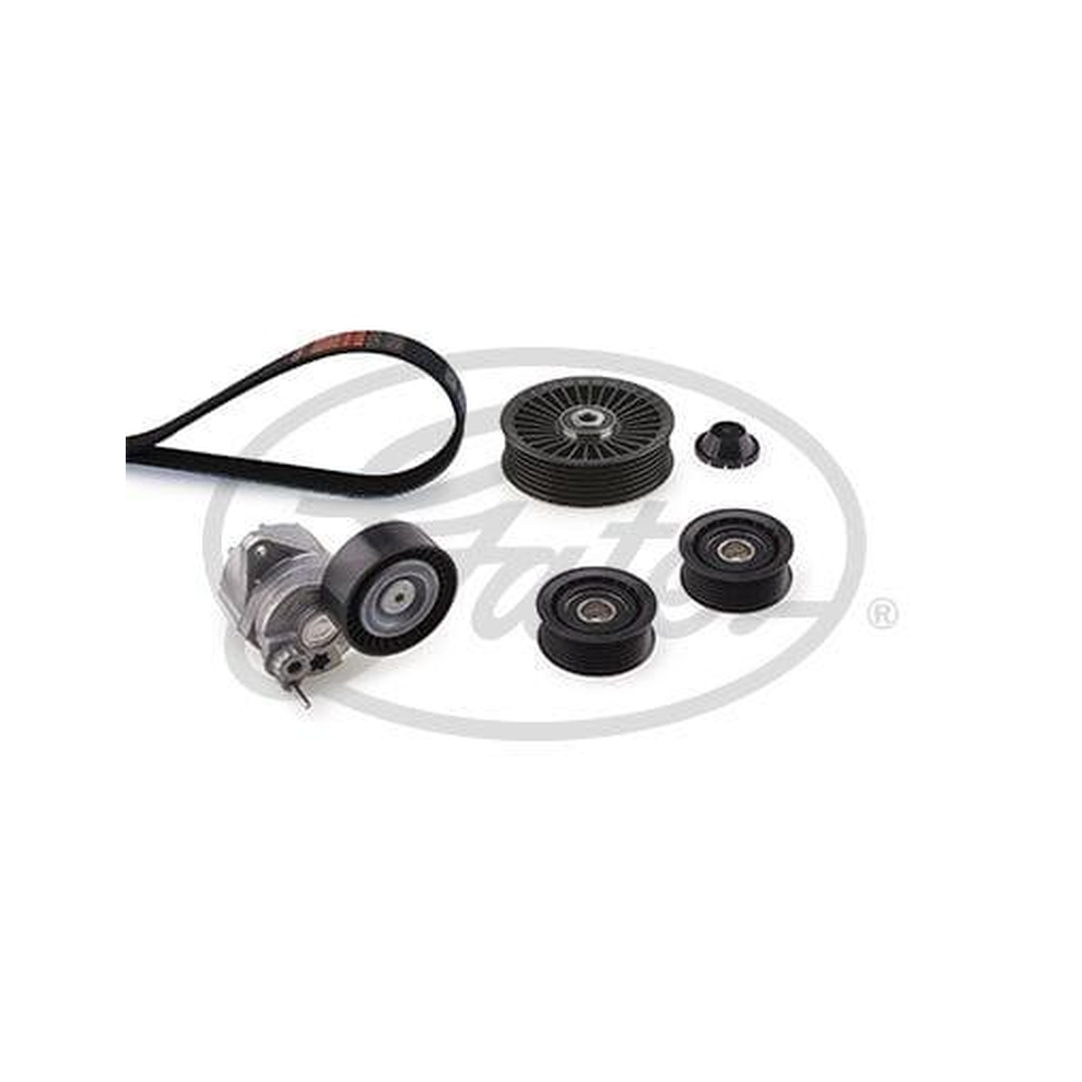 Gates K166PK2260 V-Ribbed Belt Set - Image 16