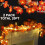 2 Pack Fall Enlarged Maple Leaf Fall Lights Leaf 20Ft 40LED Lights Battery Operated Fall Home 2