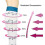 (S-M) 5 Pairs Compression Knee High Support Socks 2