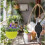 (2pcs) Adjustable Pull Down Retractable Hanging Basket Pulley with Hooks Set 4
