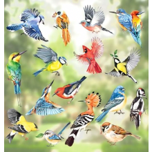 17 stuks kleurrijke raamstickers met vogels, lente kolibrie anti-botsingsraamstickers voor huisdecoratie