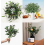 12 Pack Artificial Olive Branches 30 cm, Faux Green Olive Tree Stems for Home Office Wedding Decor 3