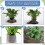 15 Pack Mole Net Underground Wire Baskets for Bulb Planting, Tree Roots, Vegetable Garden 4