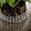 15 Pack Mole Net Underground Wire Baskets for Bulb Planting, Tree Roots, Vegetable Garden 8