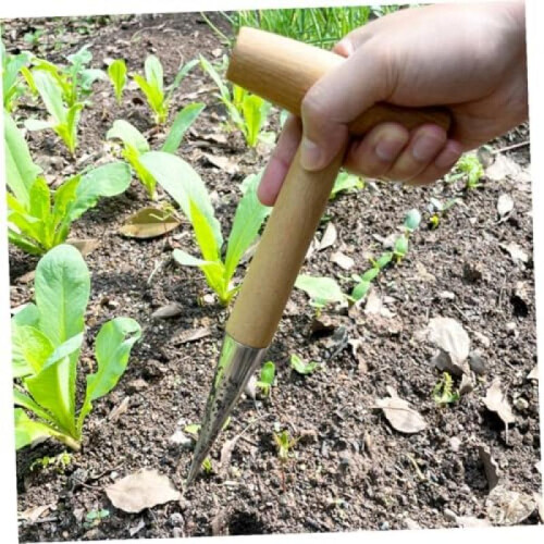 T-Handle Soil Hole Digger, Chrome-Plated Tool for Seedlings, Weeding & Soil Loosening 1