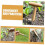 T-Handle Soil Hole Digger, Chrome-Plated Tool for Seedlings, Weeding & Soil Loosening 7