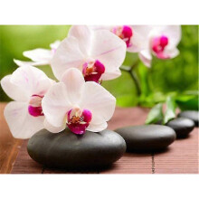30x40cm 5D DIY Diamond Painting Full#A,Fleurs,DIY Diamond Rhinestone