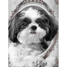 30 x 40 cm ,chiot mignon Diamond Painting Broderie Diamant Peinture Canevas 5d Tableau Enfant Adulte Strass Lot Puzzle Dessin Decoration Murale C
