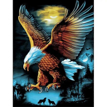 30x40cm adult children 5D DIY diamond art painting set - Moon Eagle, full diamond embroidery crafts, canvas crystal rhinestone painting set, suita
