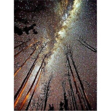 30 x 40 cm ,Diamond Painting Broderie Diamant Peinture Canevas 5d Tableau Enfant Adulte Strass Lot Puzzle Dessin Decoration Murale Chambre Tomber