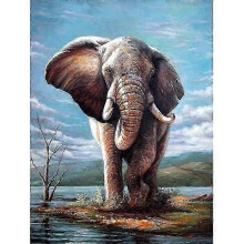 Europe-Style Diamond Painting Kit