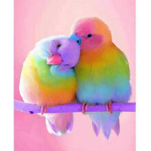 5D Diamond Painting Kit Full Drill 30x40cm UK Bird Design Resin Diamonds for Adults Kids Family Craft Activity Creative Art Project