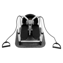 Stepper with Seat for Full Body Home Workout, Twist, Black & White, Adults