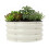 Futchoy Round Metal Raised Bed 60x28cm Bottomless Planter Box 1