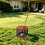 Practice Pickup Tool for Backyard Training No-Bend Design Lawn-Friendly 4