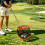 Practice Pickup Tool for Backyard Training No-Bend Design Lawn-Friendly 3