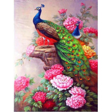 30x40 cm Peinture Diamant 8D DIY Complet, Peacock Handmade Diamond Painting 5, DIY Diamond Strass Toile Point de Croix Painting par Numro pour Dco