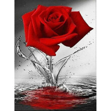 30 x 40 cm ,rose rouge dans l'eau Diamond Painting Broderie Diamant Peinture Canevas 5d Tableau Enfant Adulte Strass Lot Puzzle Dessin Decoration