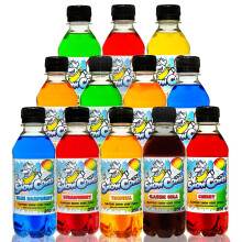 Slush Puppy Syrup Snow Cone Syrup - 12 x 250ml Pack use with all Slush Machines