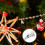 Christmas Tree Ornament Clips Clips for Decor 100Pcs Silver Iron 4